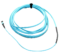 12-Fiber MTP brand - MTP brand backbone cable