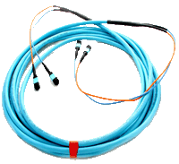 24-Fiber MTP to MTP brand backbone cable